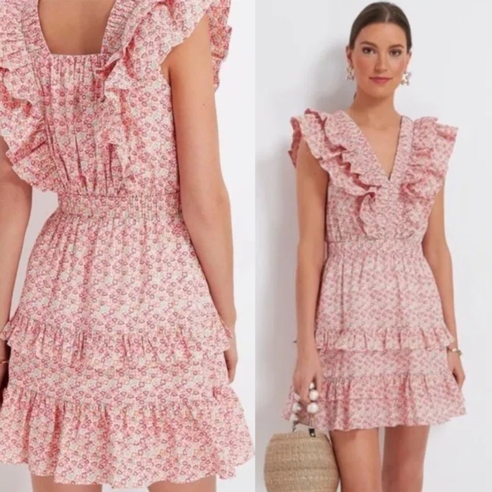 Tuckernuck Hyacinth House April Mini Dress Pink Floral XXL